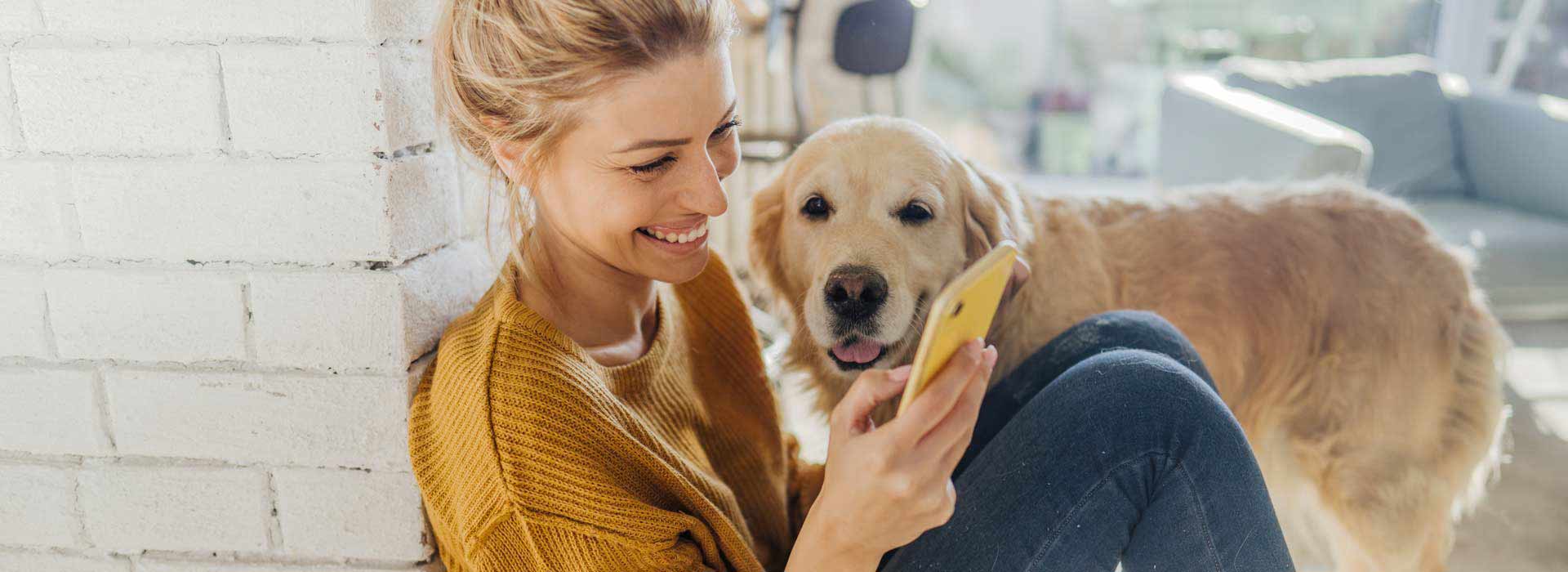 GesundheitsID. Eine Frau sitzt zuhause und schaut auf ihr Smartphone.