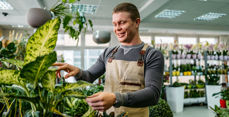 Krankenversicherung in der Ausbildung. Ein Azubi in einem Blumengeschäft pflegt Pflanzen - er hat sich über die Krankenversicherung für Auszubildende informiert.